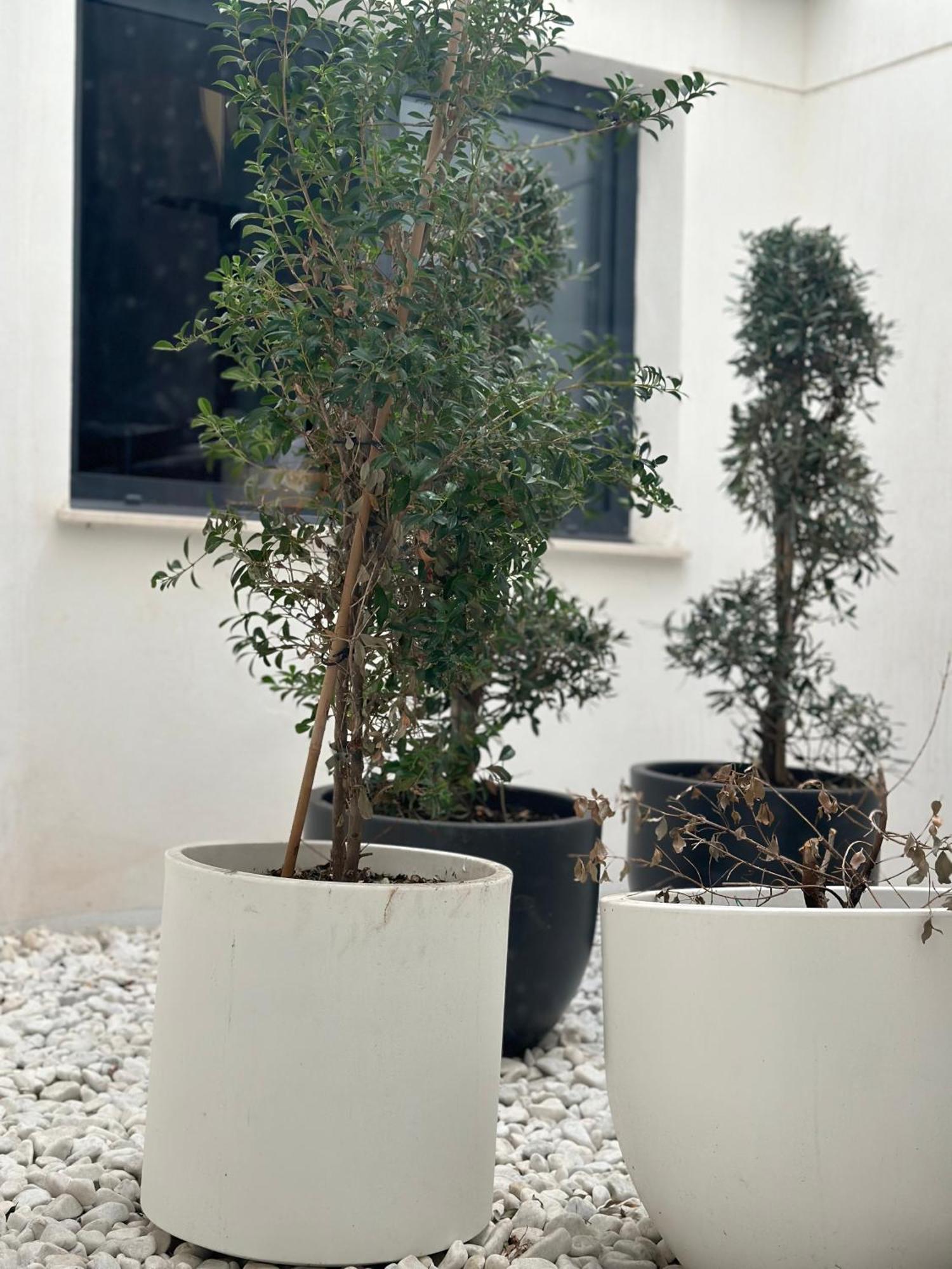 Hostel Alicante A-Cero Living Kültér fotó