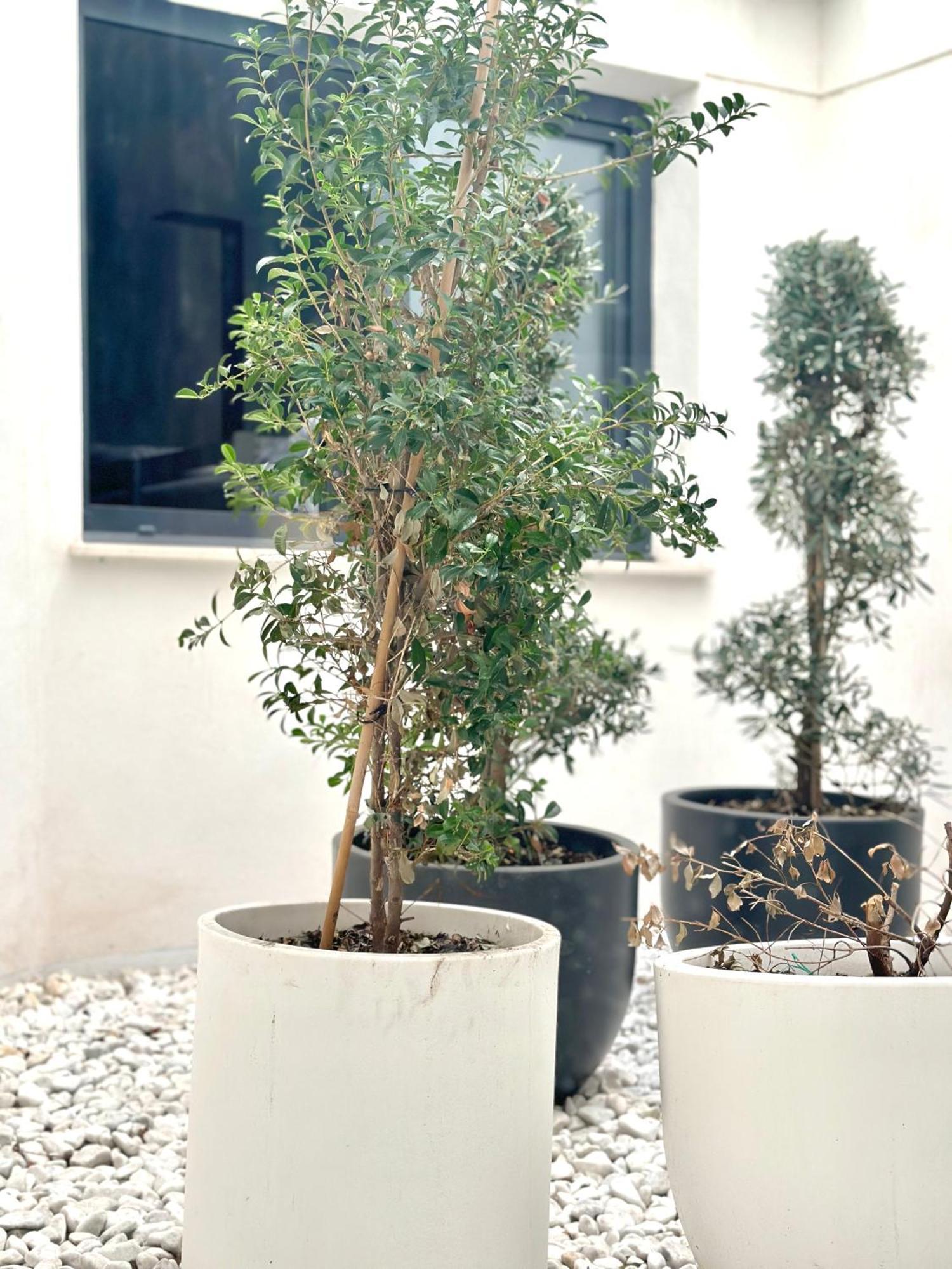 Hostel Alicante A-Cero Living Kültér fotó